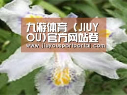 产品名称二