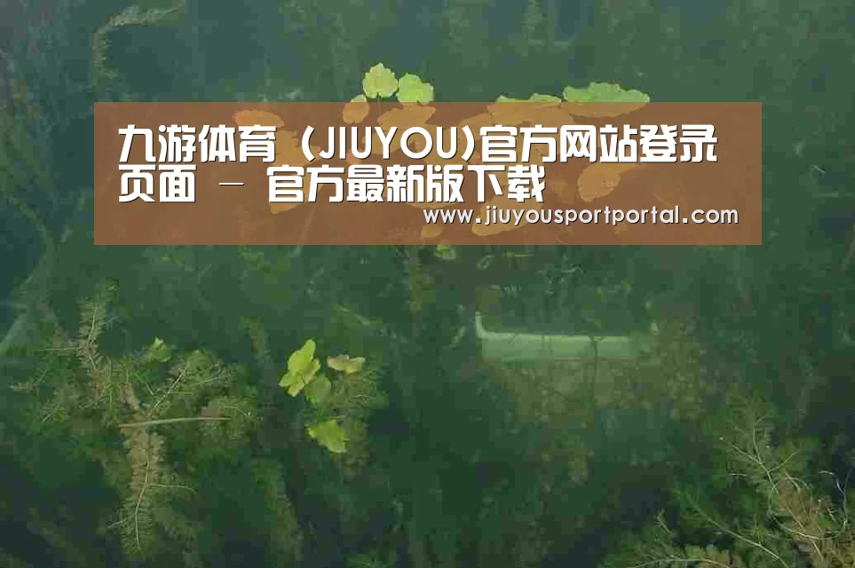 案例展示三